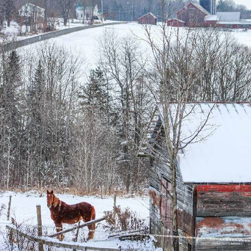آرشام دستامو بگیر نرو تنهام نزار پا رو قولامون نزار